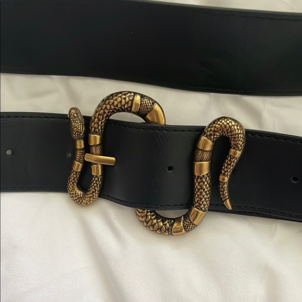 Disturbia snake belt